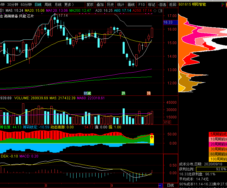 泰康人寿安徽分公司:以史为鉴,明辨风险——从"郁金香泡沫"看理性投资