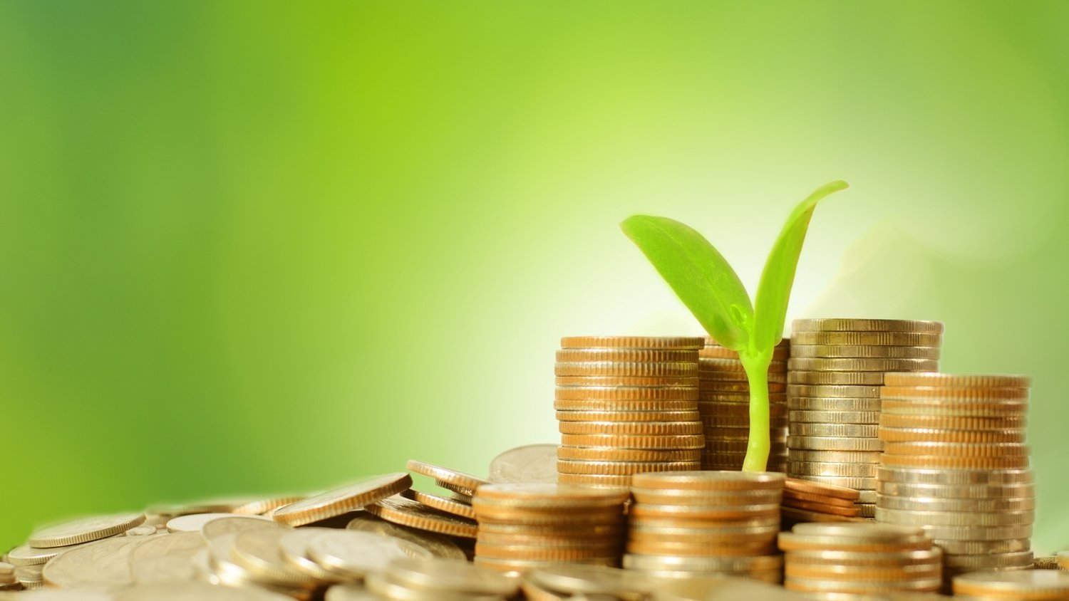 梅州启动防风防汛Ⅳ级应急响应